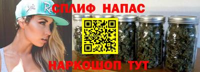 jwh Будённовск