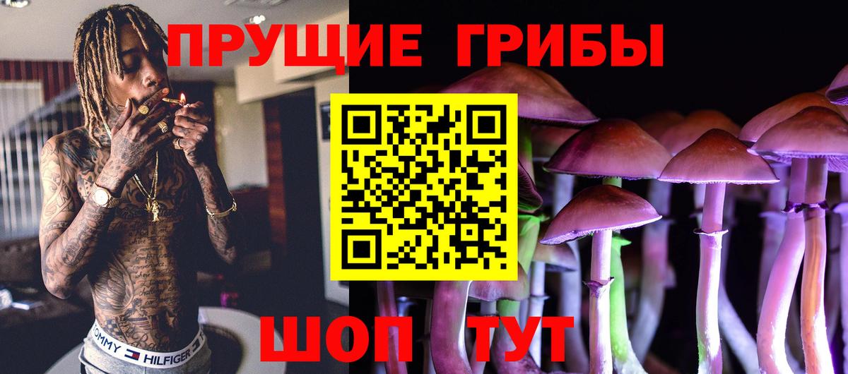 Котлас  Псилоцибиновые грибы GOLDEN TEACHER  Вход с VPN  Галлюциногенные грибы GOLDEN TEACHER 