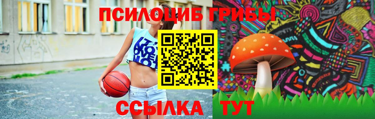 Псилоцибиновые грибы MAGIC MUSHROOMS Котлас